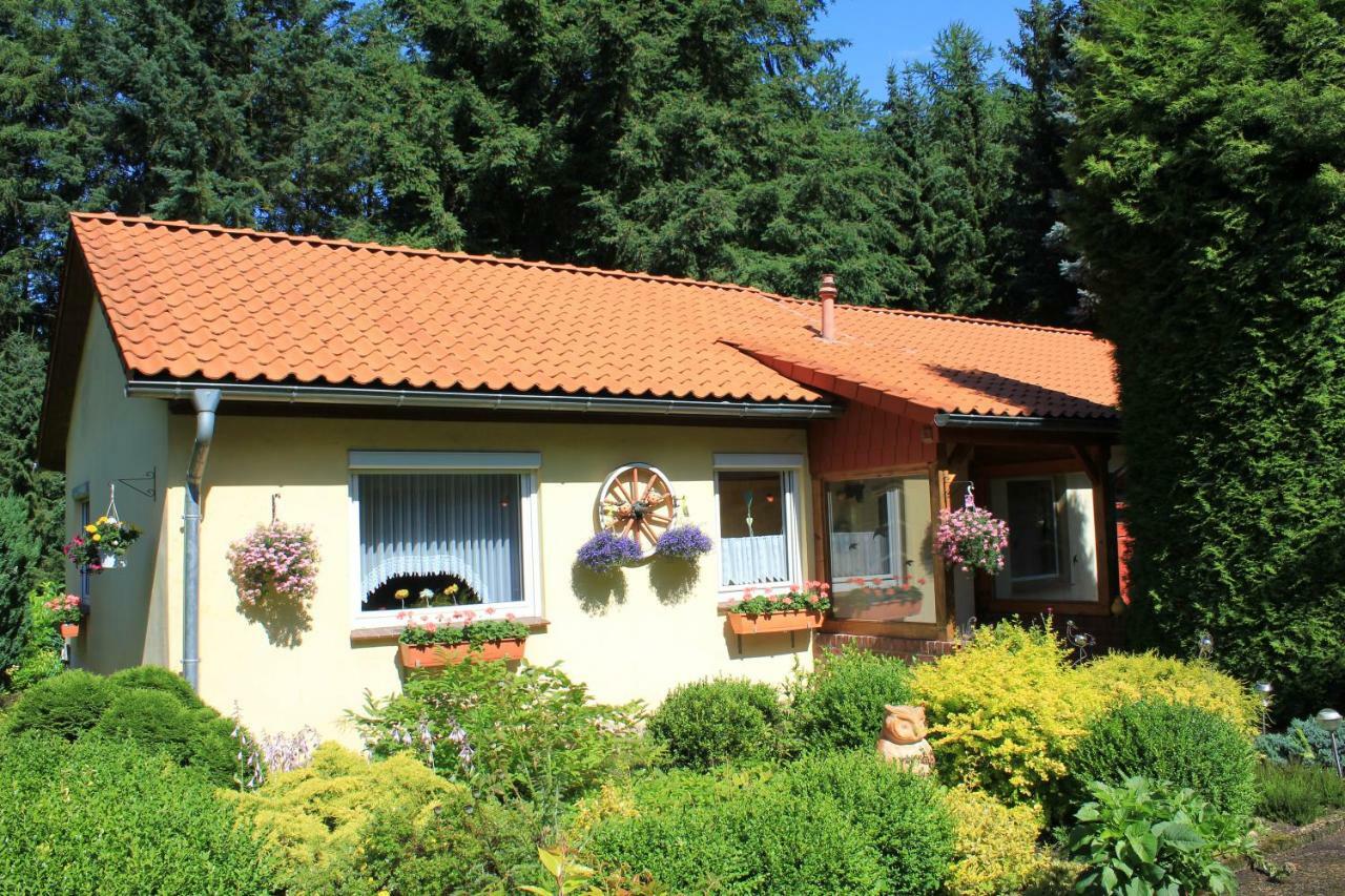Hintze Villa Soltau Exterior photo
