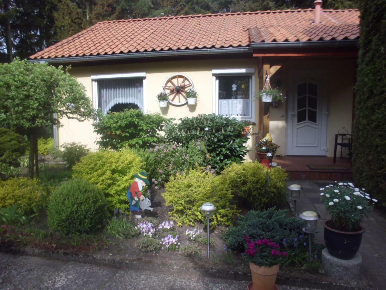 Hintze Villa Soltau Exterior photo